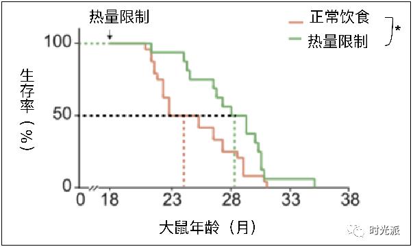 吃了这种糖不仅不会胖，还能模拟热量限制抗衰老