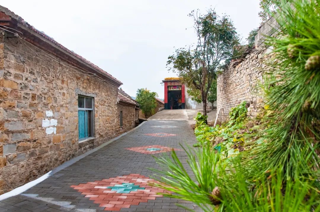 我家街巷最美系列展示济南市莱芜区高庄街道高家岭村