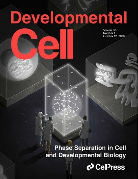 科技前沿】张宏团队总结膜生物学中的相分离：​有膜细胞器与无膜