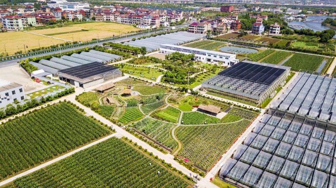 长钱长投 精准灌溉 资本赋能集成电路产业升级突围