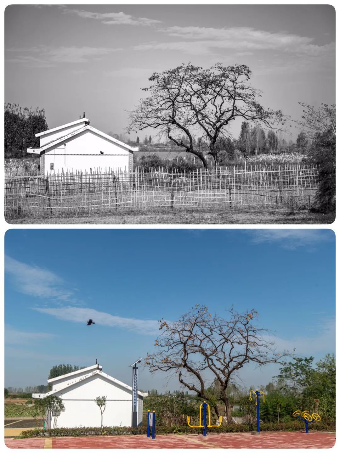 凡是摄影微影赛(159)-《并置》第二周投稿欣赏