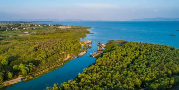 巢湖市月亮湾湿地公园公众建言参与方式1合肥市人民政府门户网站(www.
