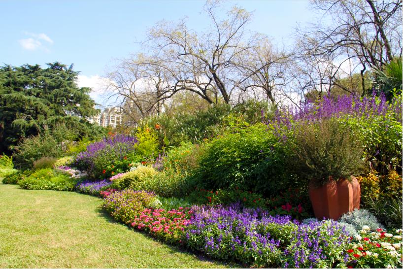 上海植物园清丽之径和平公园花境岭南公园繁花似锦素材来源:市公园