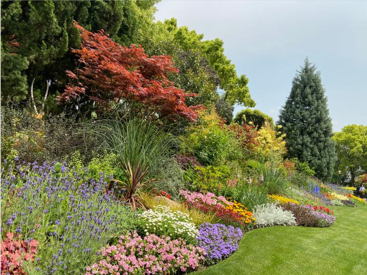 2020年度公园园艺评分结果出炉这些公园带着花坛花境的美图来啦