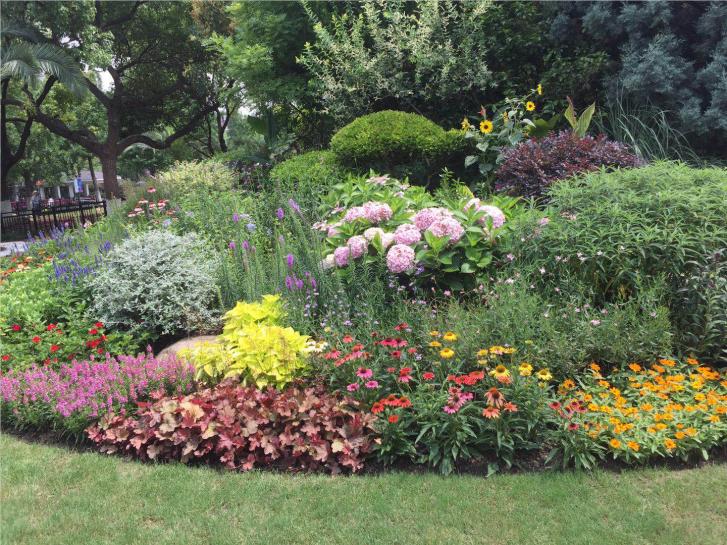 2020年度公园园艺评分结果出炉这些公园带着花坛花境的美图来啦