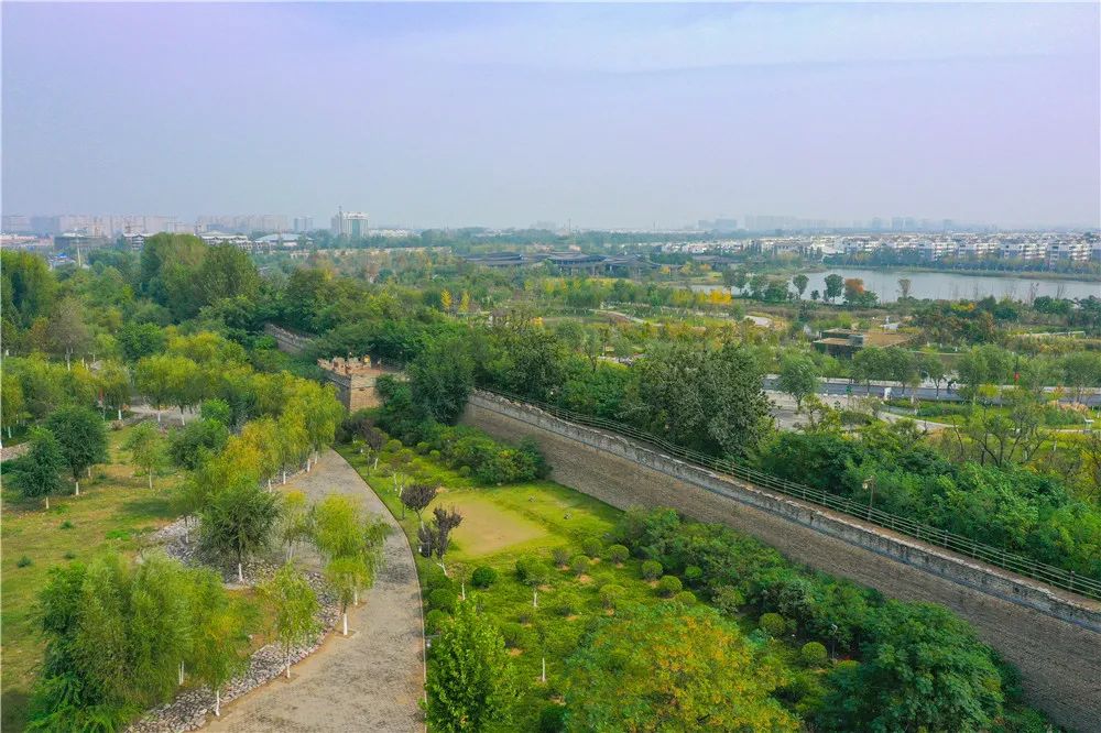 开封来了个悬浮将军