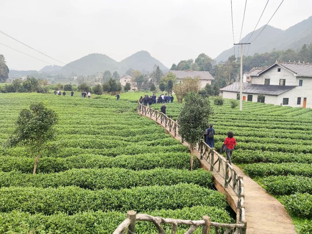 他山之石丨区政协常委会赴贵州省遵义市学习考察