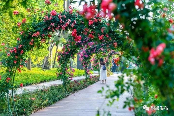 又站c位铜梁西郊绿道喜获重庆市体育旅游精品线路