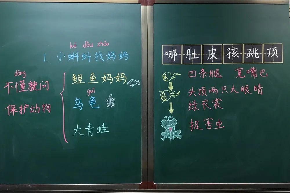 蒋天鸣语文《小蝌蚪找妈妈》丰镇第一小学李璐珩语文《夜间飞行的秘密