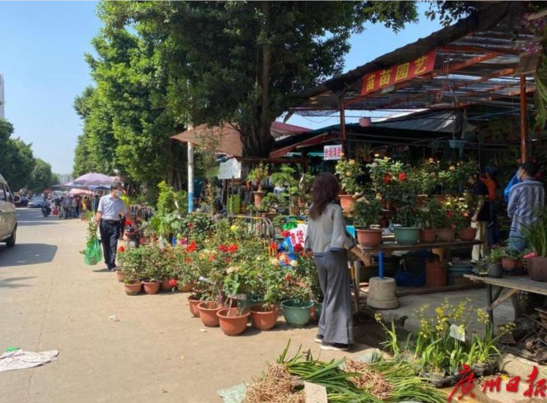 广州芳村花卉批发市场图片