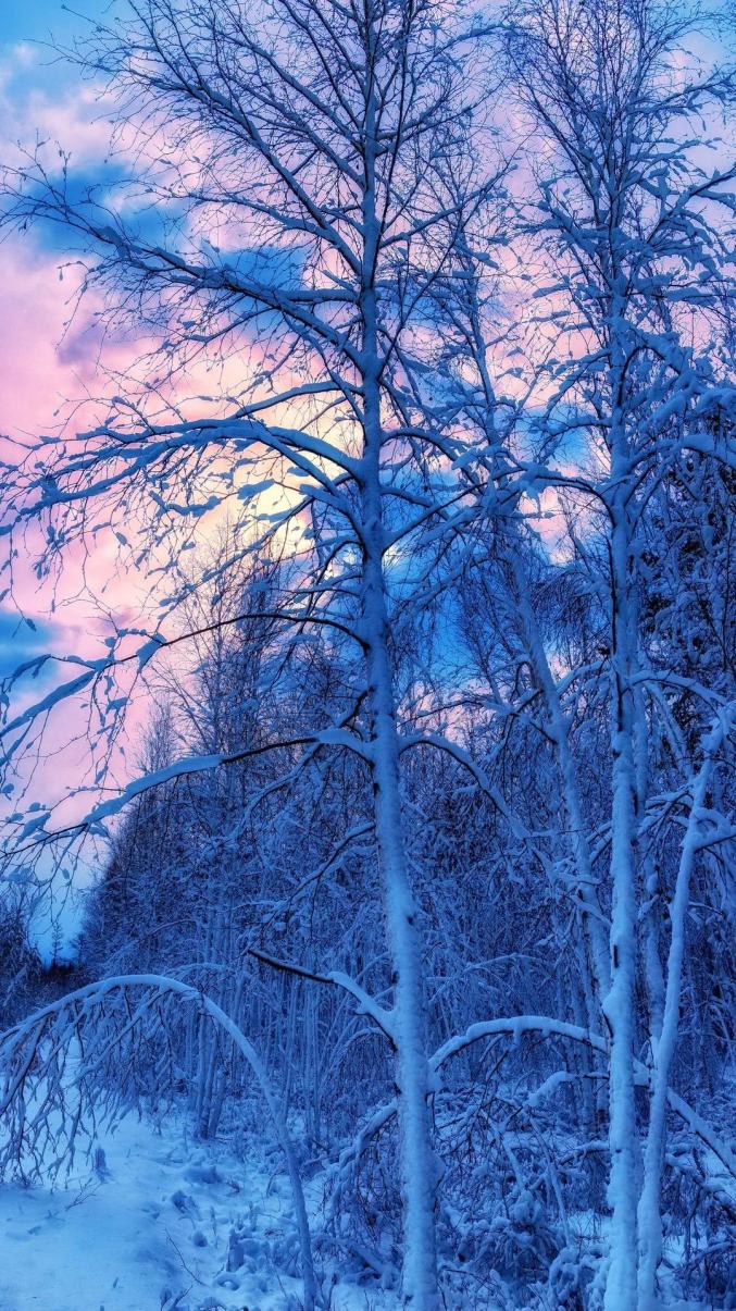 飞雪时节,来阿木尔北极岛看一看童话世界的模样