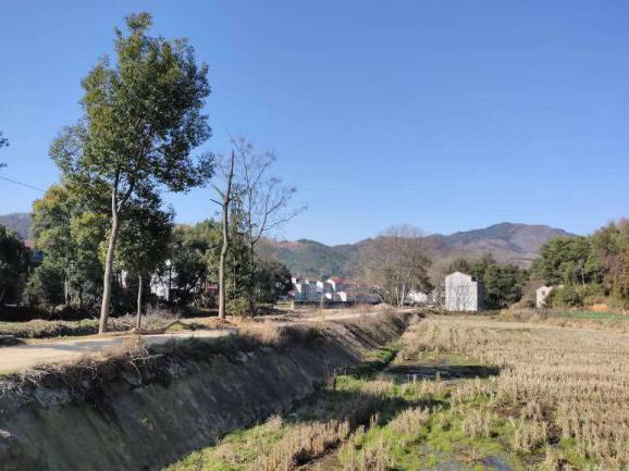 隘口:美丽乡村变"香"村