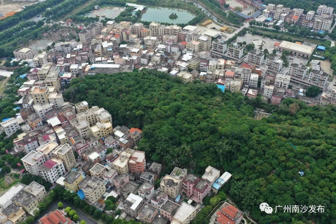 在南沙我很羡慕住在这个村的人