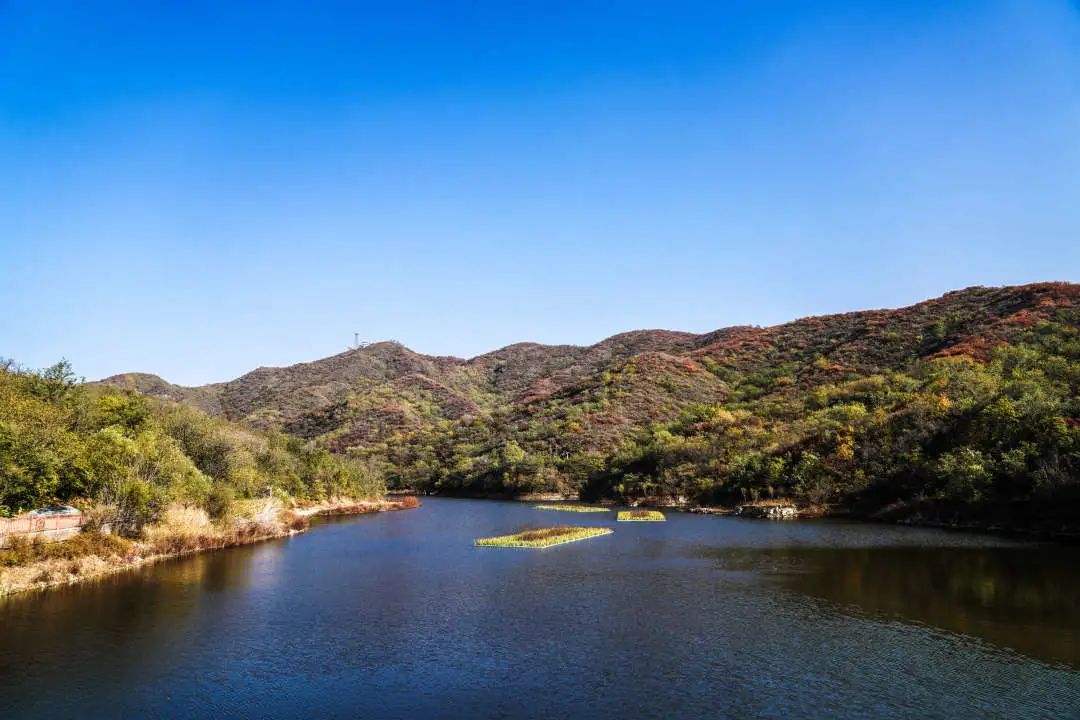 初秋的南马场水库美到窒息