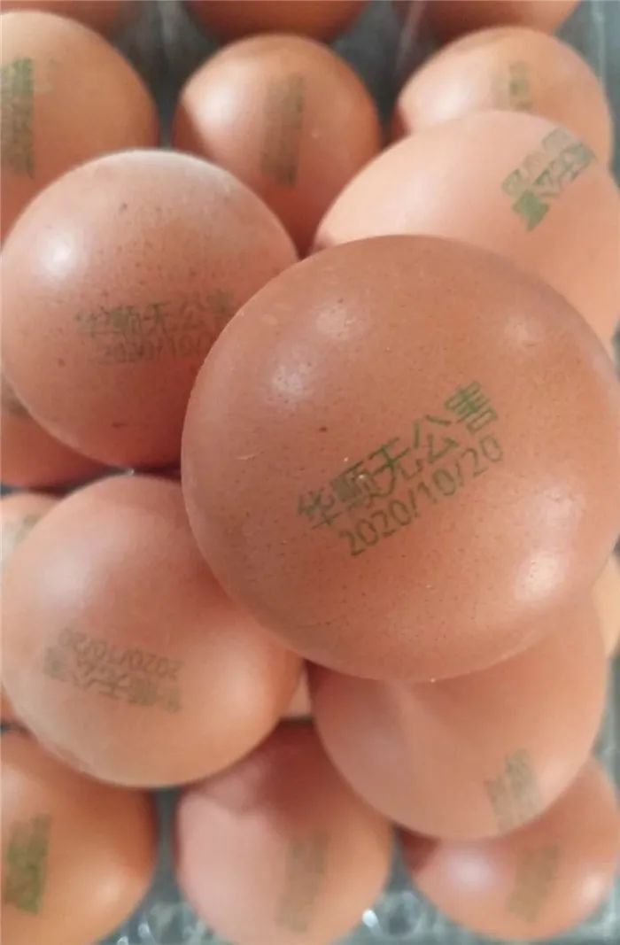 致富经2020全集(致富经2020全集视频)
