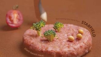 植物肉向消费市场渗透，德克士2600家门店推出植物肉汉堡