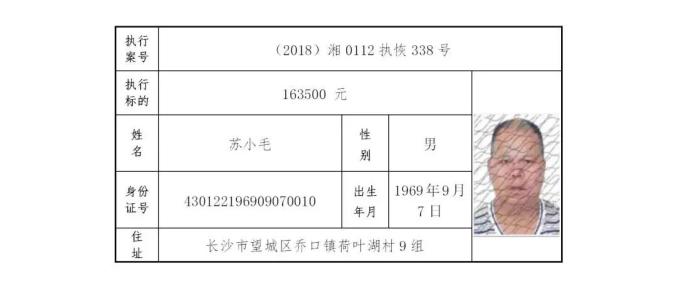 醴陵姓氏人口_醴陵瓷谷图片(3)