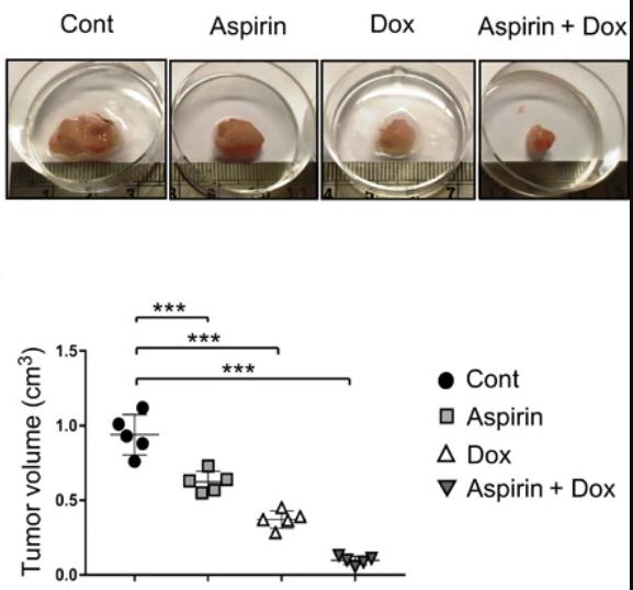 《科学》子刊：发现阿司匹林抗癌新技能_图1-3