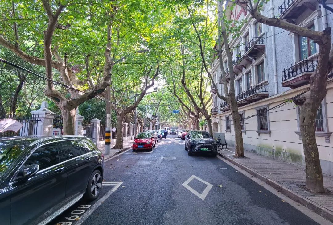 漫步香山路,感受林荫道带来的惬意