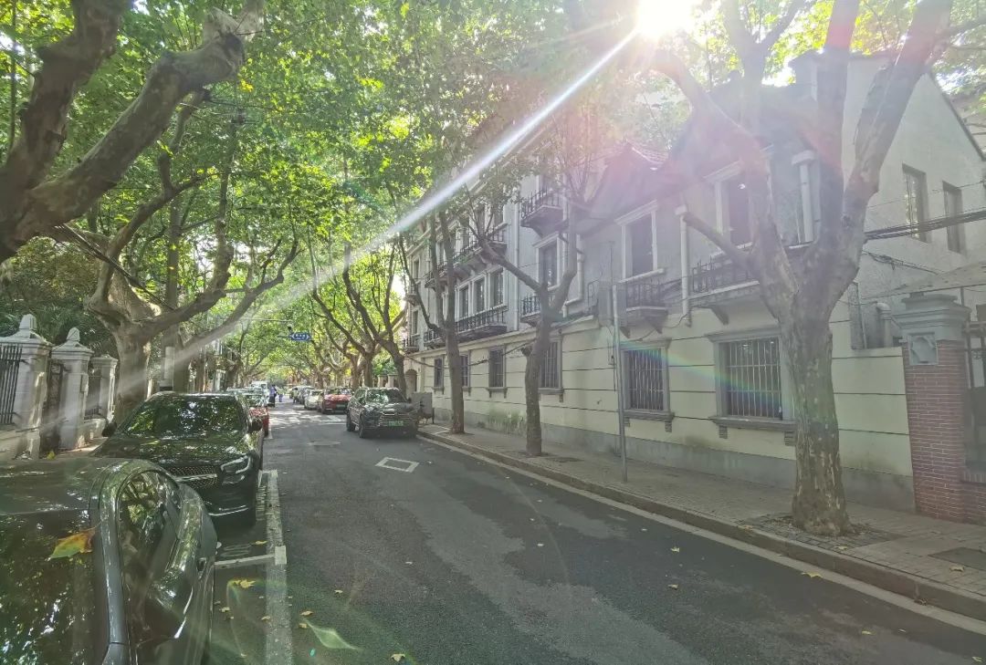 漫步香山路,感受林荫道带来的惬意