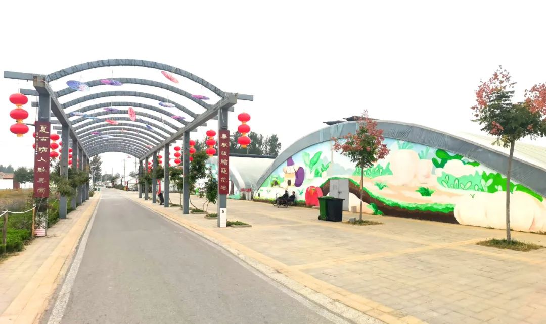 我家街巷最美系列展示德州市临邑县临盘街道前杨村