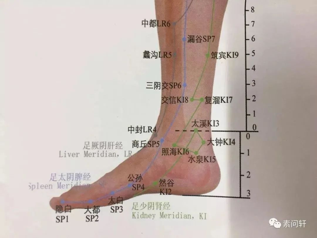 秋冬季泡腳的好處真的很多1,直接溫煦我們的雙腳,扶陽補陽2,引火下行