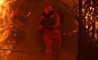 森林消防员也“穿越火线”？这是提前为森林防火期做准备