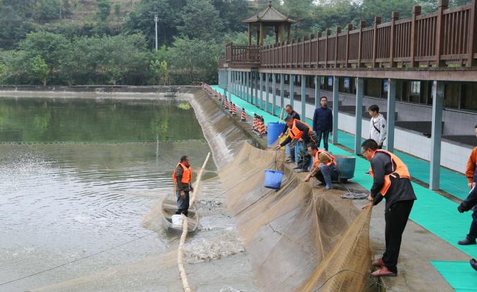 该团伙近二十年来在张家口一带长期从事非法活动!警方发布最新通告