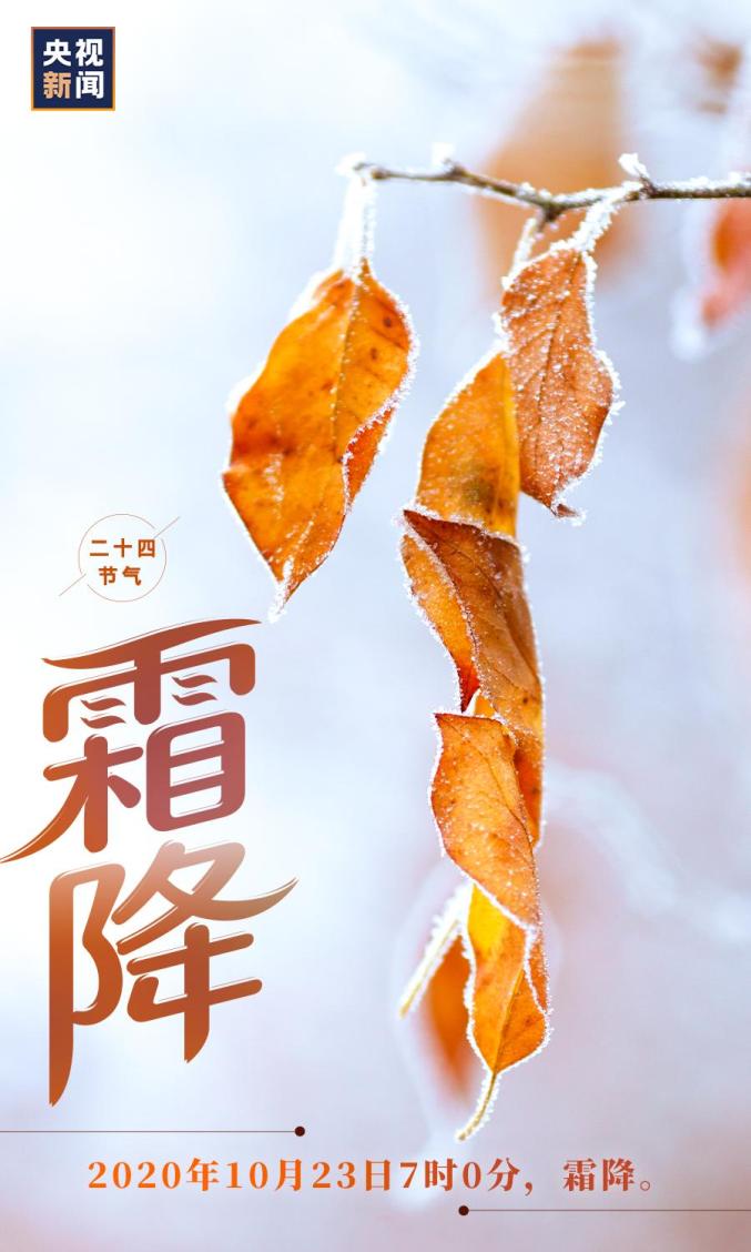 霜降三旬后,蓂馀一叶秋