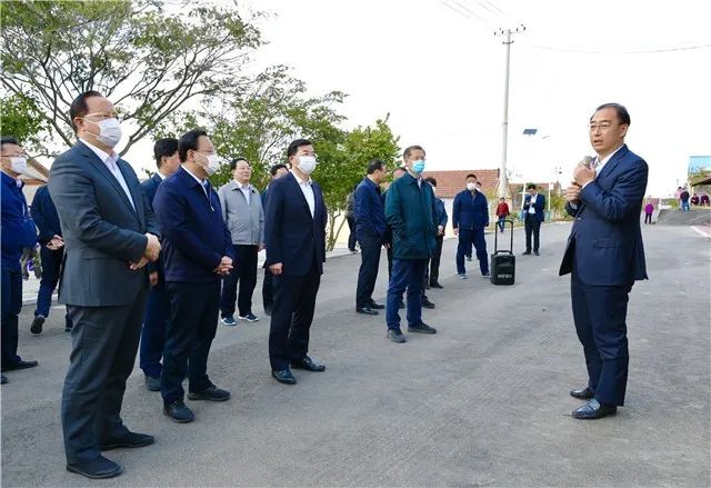 威海市乡村振兴工作现场推进会走进文登区