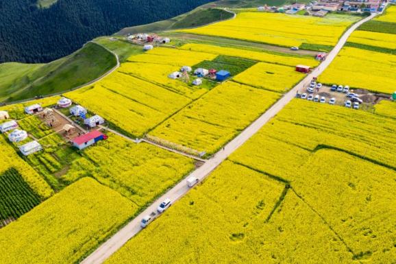 喜讯天祝县大红沟镇大红沟村入选第二批全省乡村旅游优秀示范村