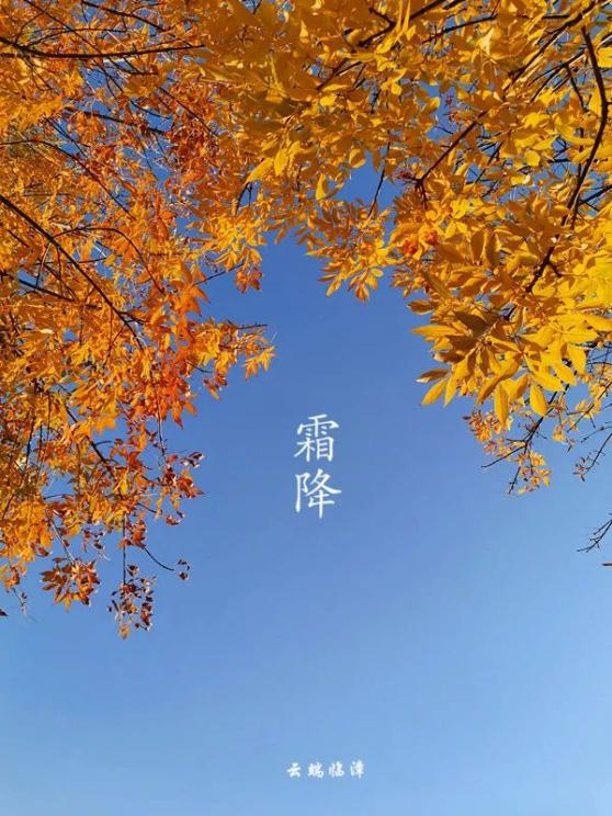 天气临漳预报
