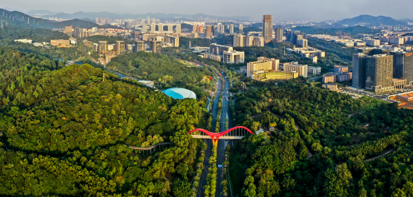 广州开发区书写"中小企业能办大事"靓丽答卷