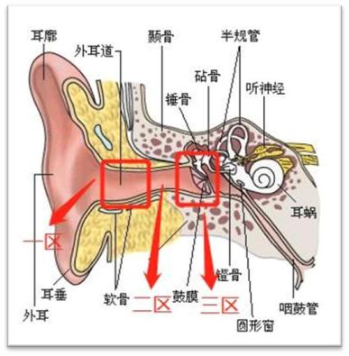 病从耳入新式采耳热潮下的荆棘丛生
