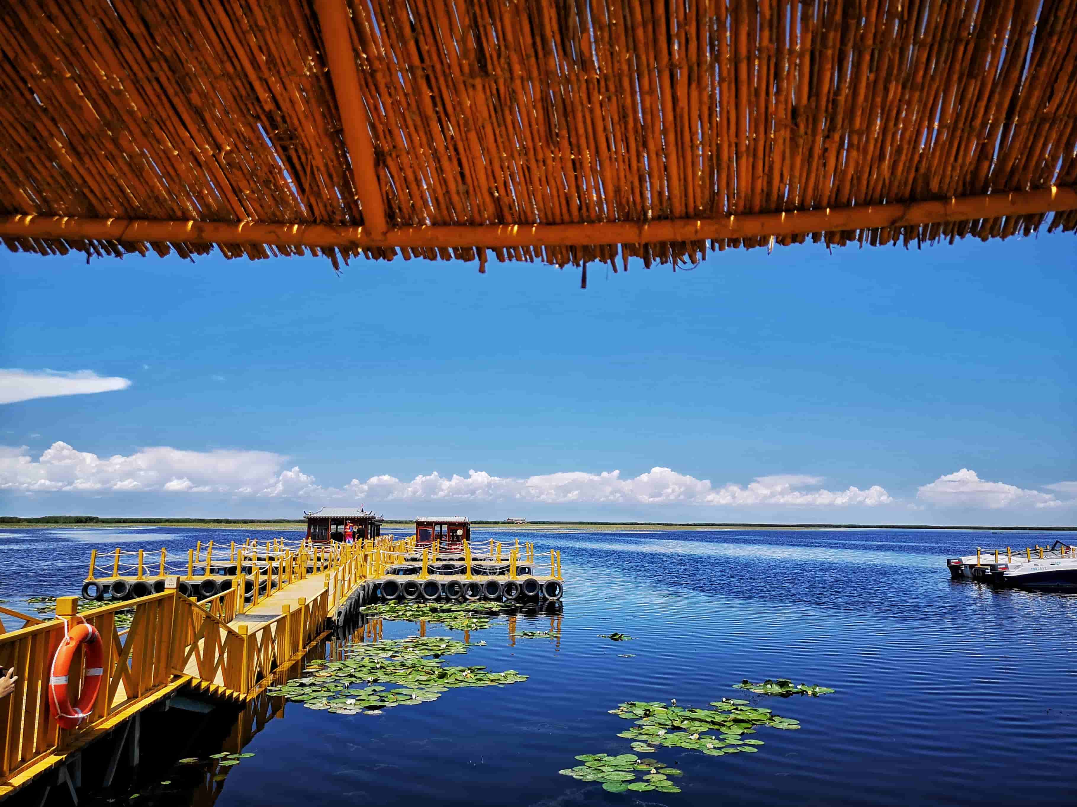 博斯腾湖内莲花湖:博斯腾湖景区莲海世界整的个小湖区被芦苇台田,睡莲