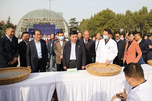 河南中医药大学第二附属医院成功承办2020年世界传统医药日活动