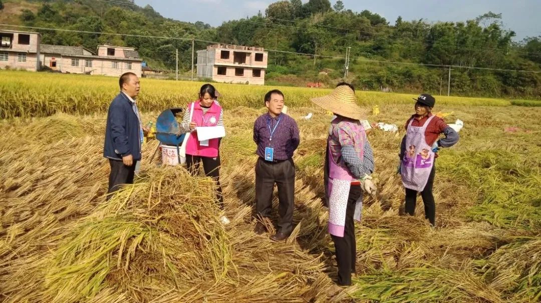 平睦镇人口_清远英德市各镇街人口一览:一个镇街超二十万人,最低仅六千多人(2)