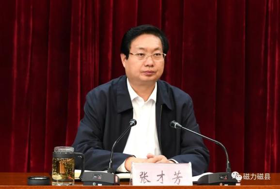 磁县召开大气污染综合治理攻坚暨农村乱占耕地建房排查动员会议