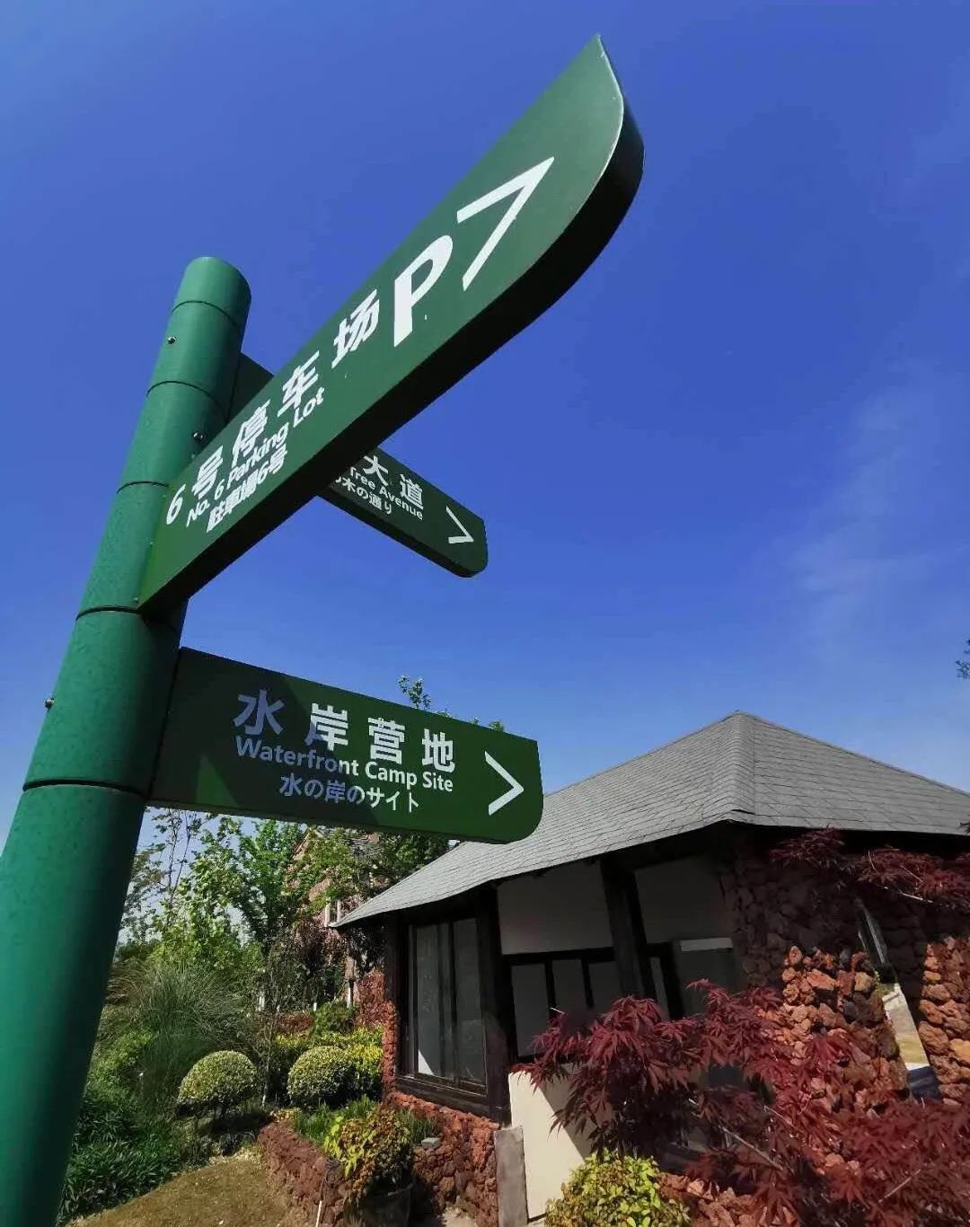 浦江郊野公园里藏着一座岛趁大家还不知道快来赏美景美食和美酒