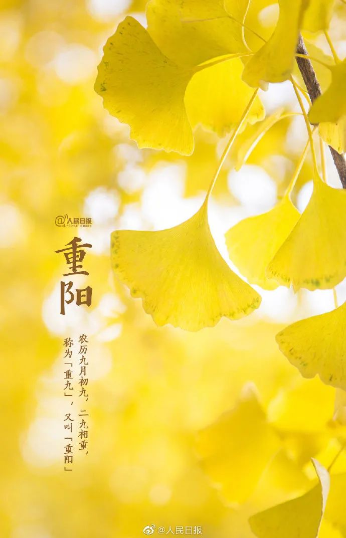 重阳节 | 致全省老年人的慰问信