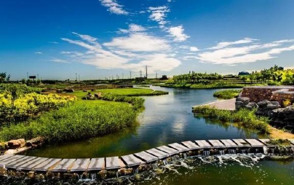 临港生态湿地公园图片