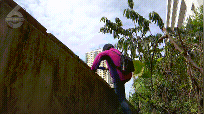 最近不少人去昆明这个小区翻围墙上蹿下跳保安都拦不住