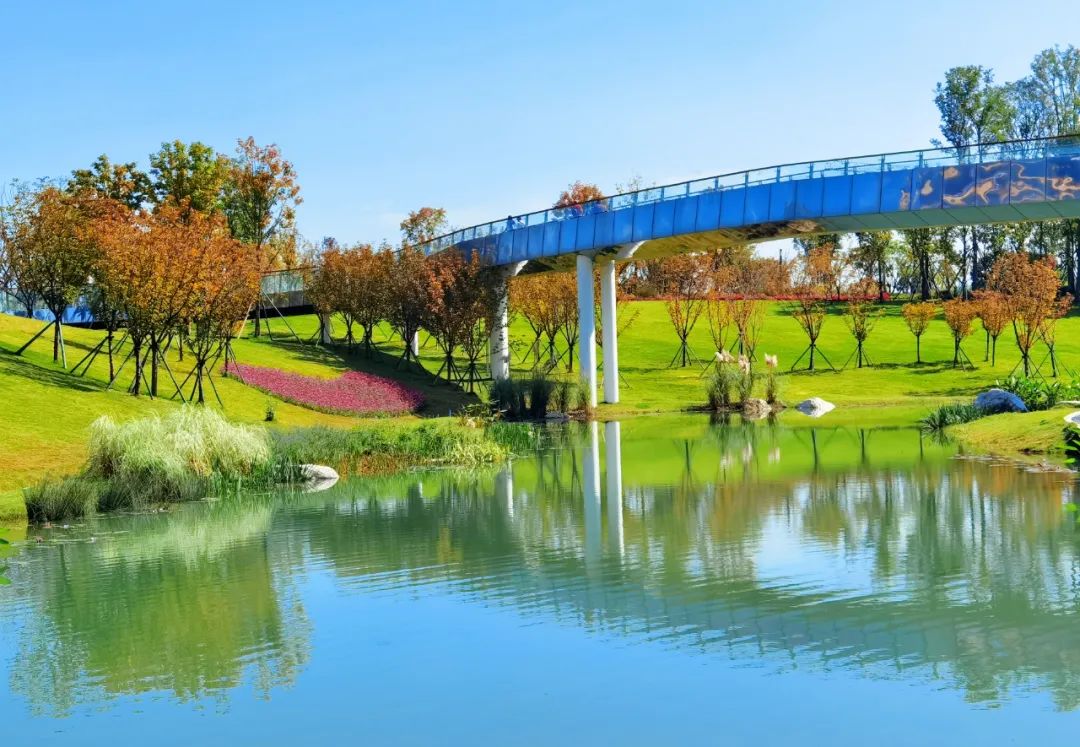 绝美湖景尽收眼底成都高新区这个公园上新了