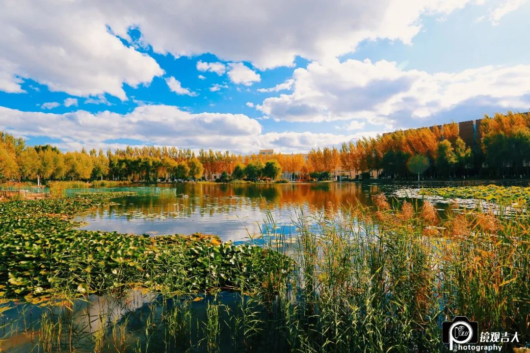 一到秋天长春这里就美成了童话世界