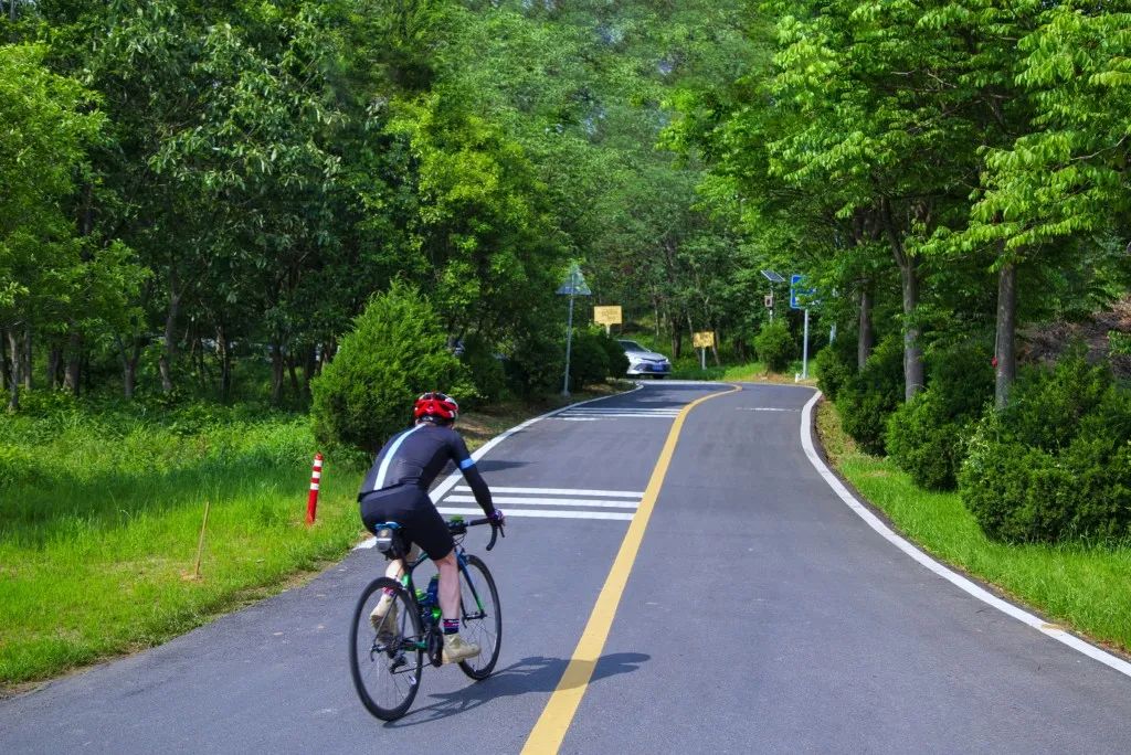 鳳凰山鳳凰山古名曠口山,是浦口老山的一個分支,靠近老山森林公園旅遊