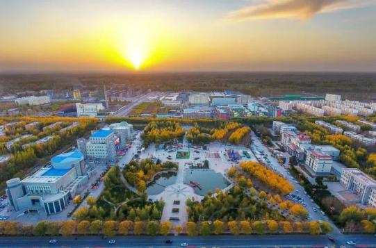 以"枣"为媒!且末县第十一届红枣节甜蜜来袭