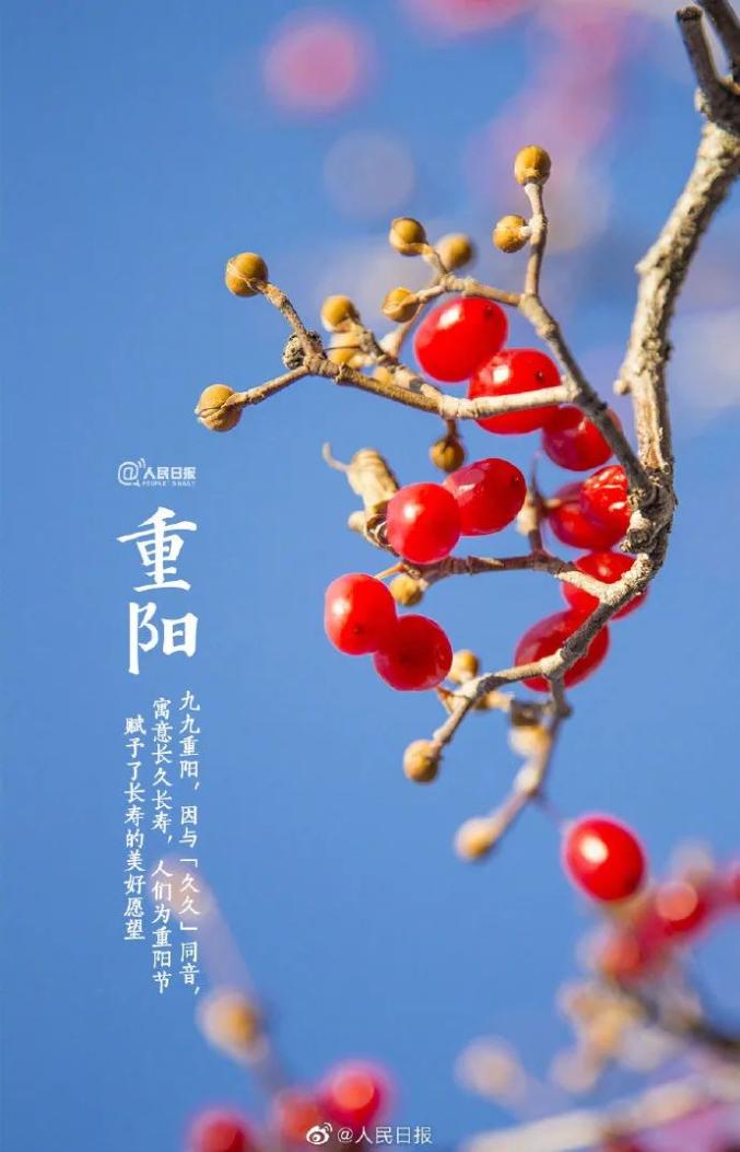 重阳节致全省老年人的慰问信