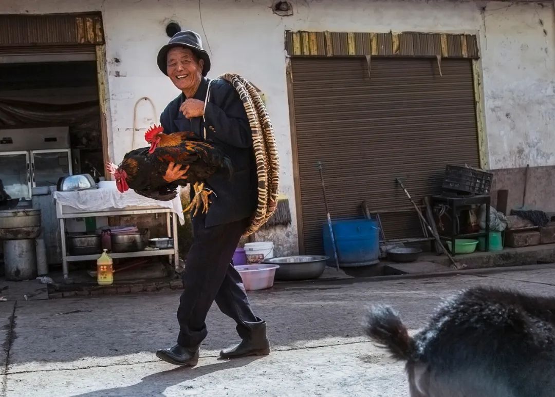 牵羊路过打盹双拥讨价还价抱鸡老人夫唱妇随守摊老姐妹吸引赶场早餐凡