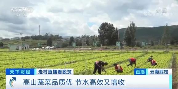 人均一亩粮_一担粮