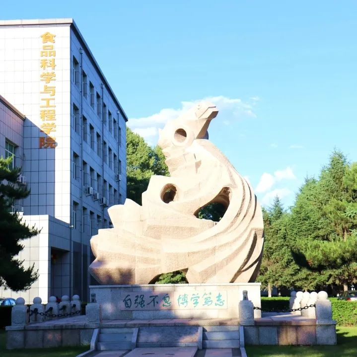 三环广场,骁腾雕塑,图书馆,科学讲堂,晨读广场,筑梦,动物医学实验站